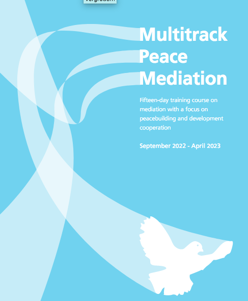 Multitrack Peace Mediation 2022/3