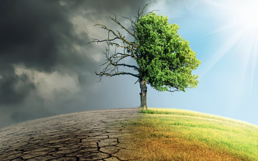 „Die Klimakrise als Systemkrise – Transformation für den sozialen Wandel“