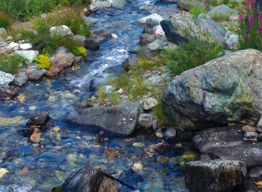 Entwicklertage 2020 – für Führungskräfte und ihre Berater*innen